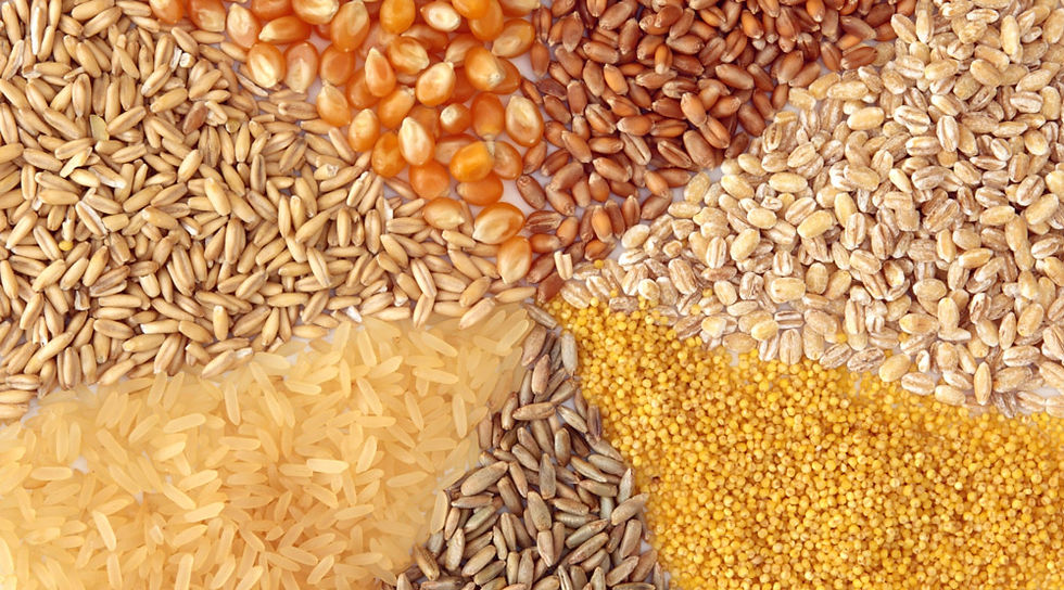 belfeed-product.jpg