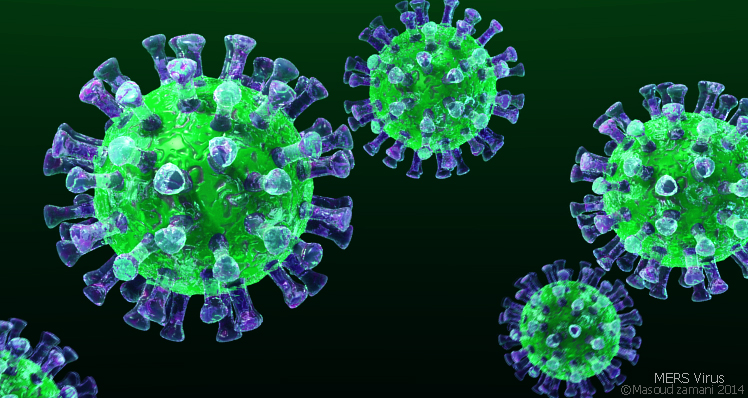 Coronavirus situation